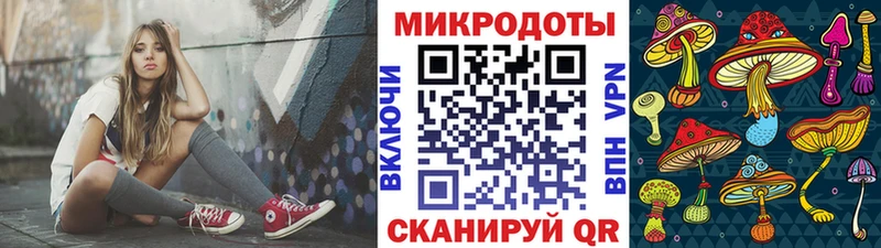 Галлюциногенные грибы Psilocybe  Ирбит 